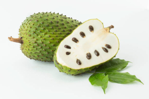 Soursop